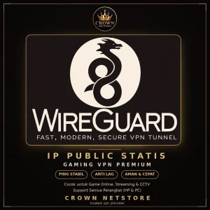 WireGuard Gaming VPN Premium IP Public Static